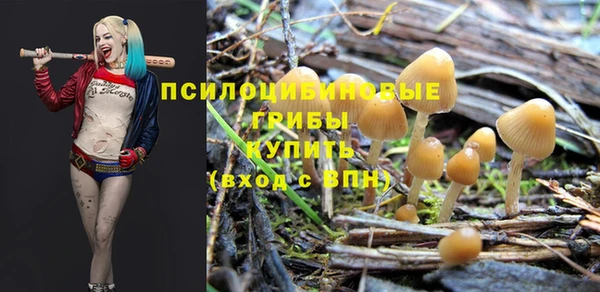 дурь Балахна