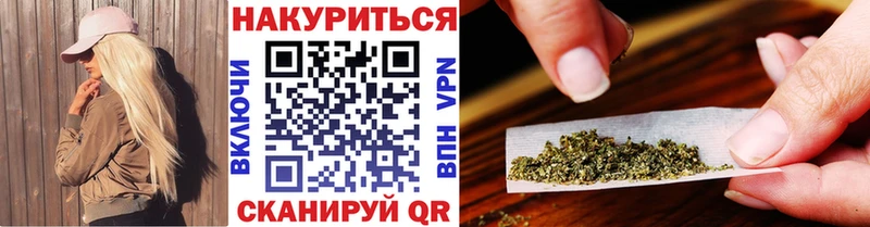 Бошки Шишки SATIVA & INDICA  как найти наркотики  omg зеркало  Астрахань 